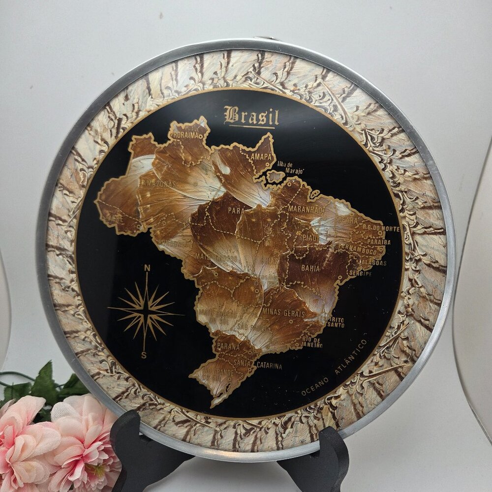 Vintage Framed Brazil Map With Butterfly Wings Background Wall Hanging 1970s MCM